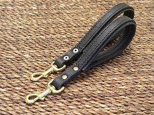 Rottweiler dog leash