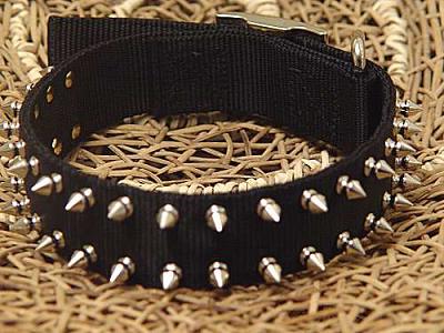 spiked rottweiler collar