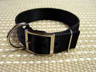 rottweiler collar