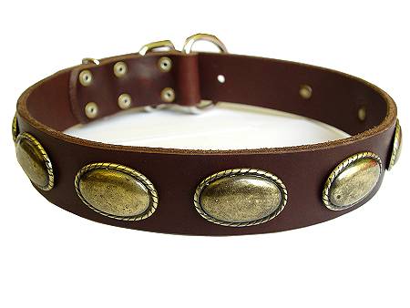 leahter dog collar for rottweiler