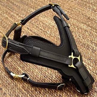 rottweiler harness